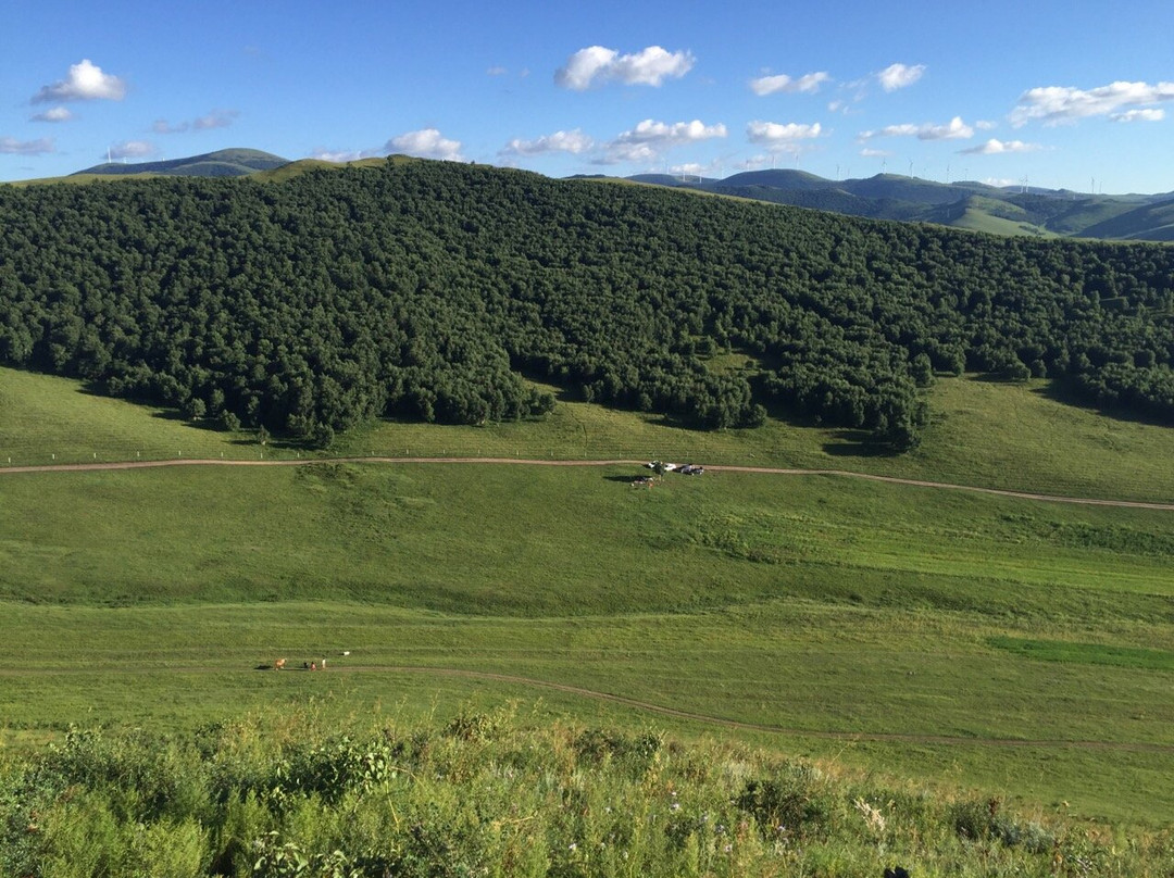 沽源草原-沽源县必去景点