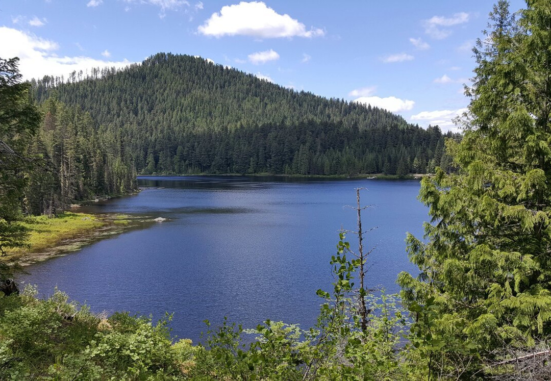 Spokane Electric Bike Rentals景点图片