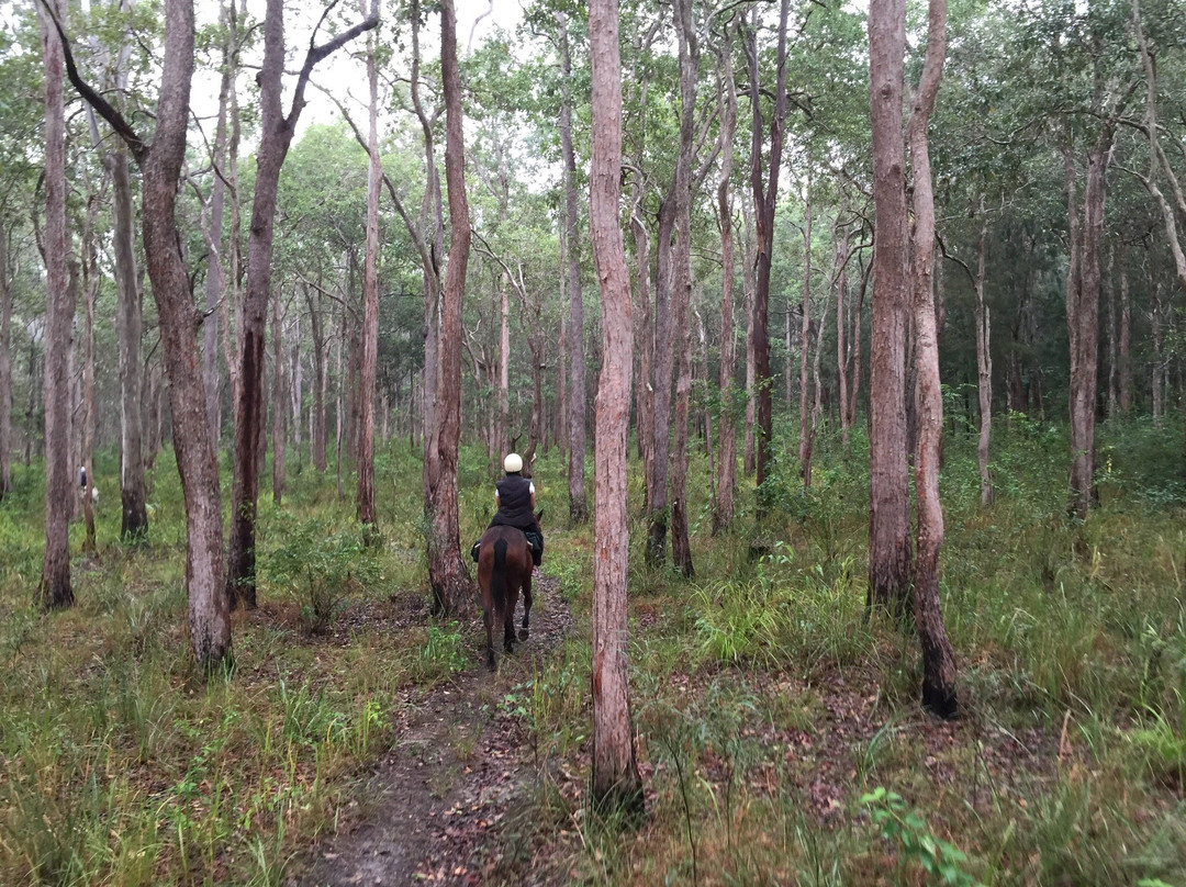 Tait's Wongabel Stables- 阿瑟顿必去景点