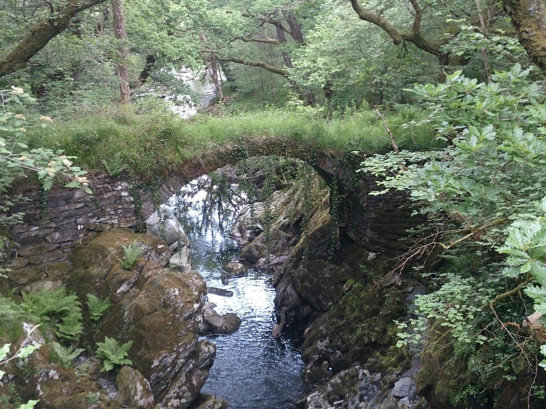 Snowdonia Safaris景点图片