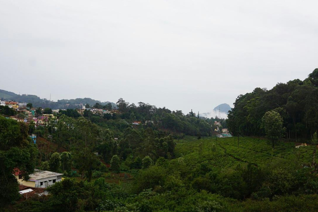 Bearcountry Resorts主图