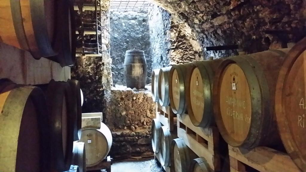 Museo del Vino景点图片