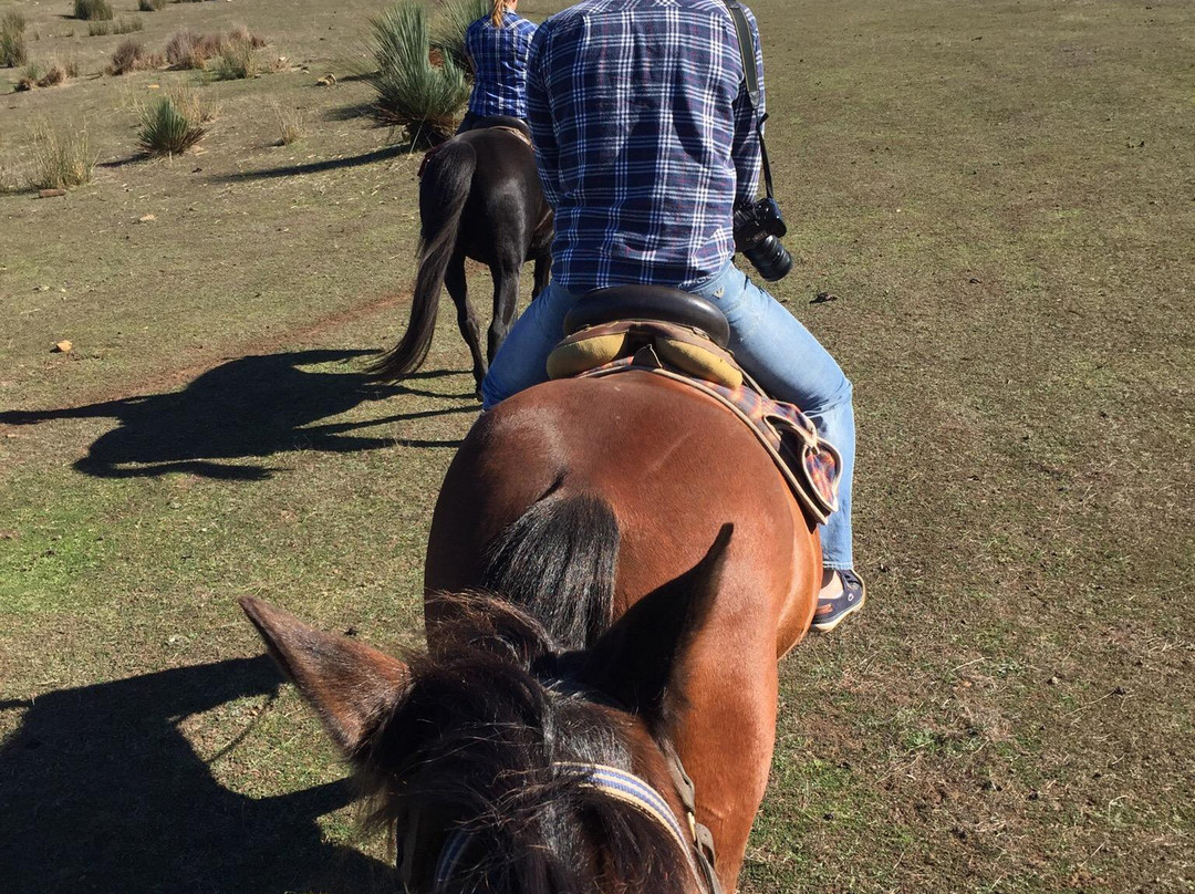 Tiger Trails-袋鼠岛必去景点