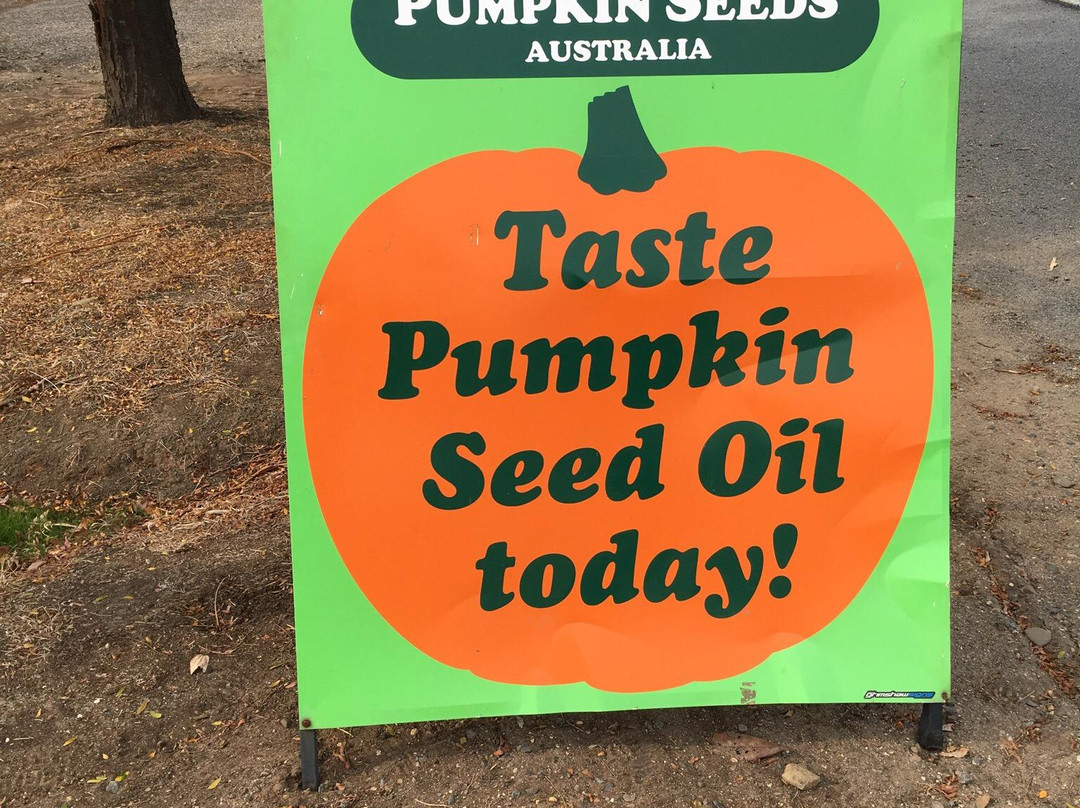 Pumpkin Seeds Australia-Myrtleford必去景点