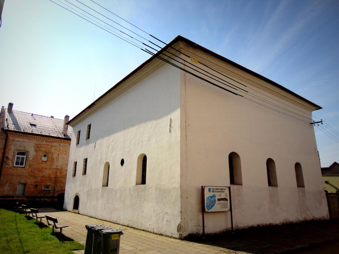 Šachova Synagoga-Holesov必去景点