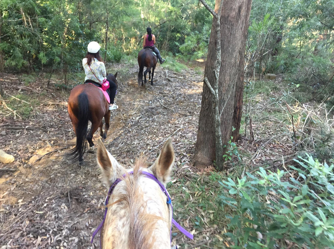 Otford Farm-Otford必去景点