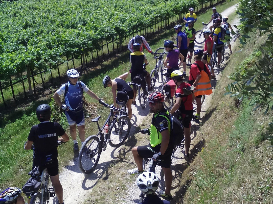 Bike Veneto - Rent a Bike, Excursions and tours by bicycle景点图片