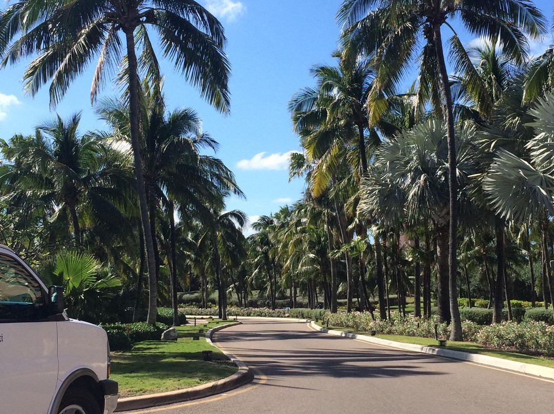 Jermaine's taxi and tours-拿骚必去景点