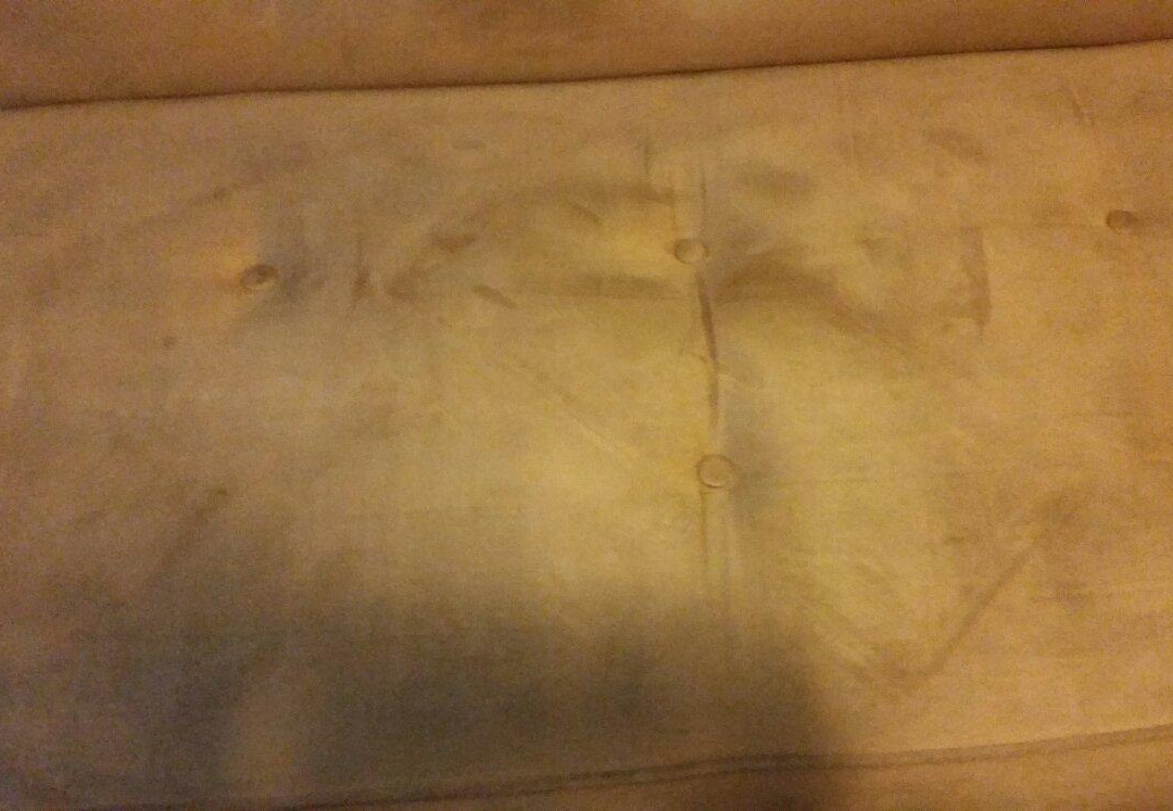 Botany Motor Inn主图