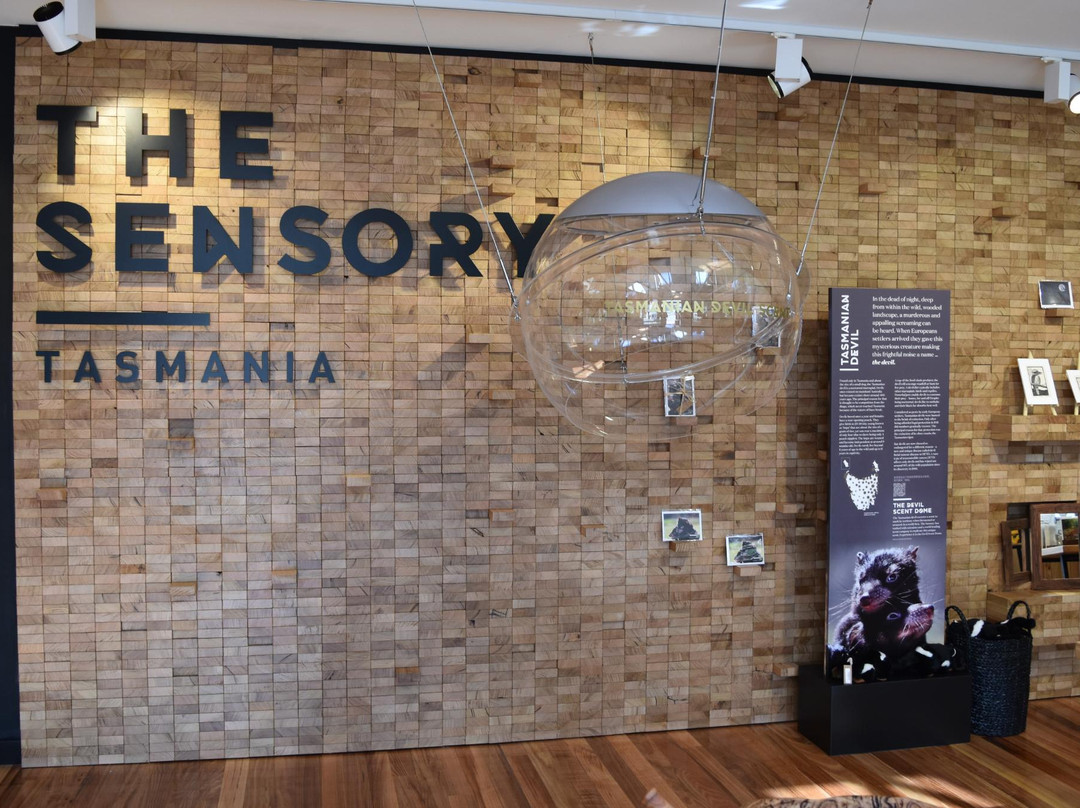 The Sensory Tasmania景点图片