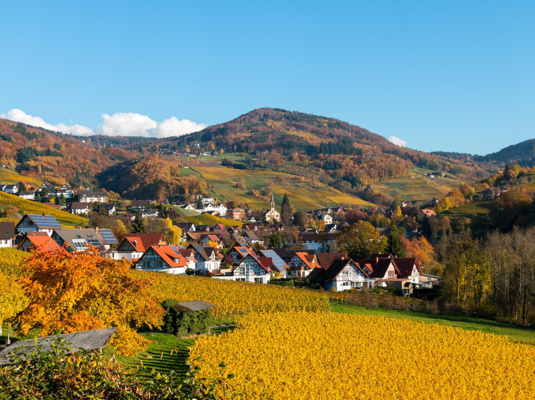 Sasbachwalden旅游攻略图片