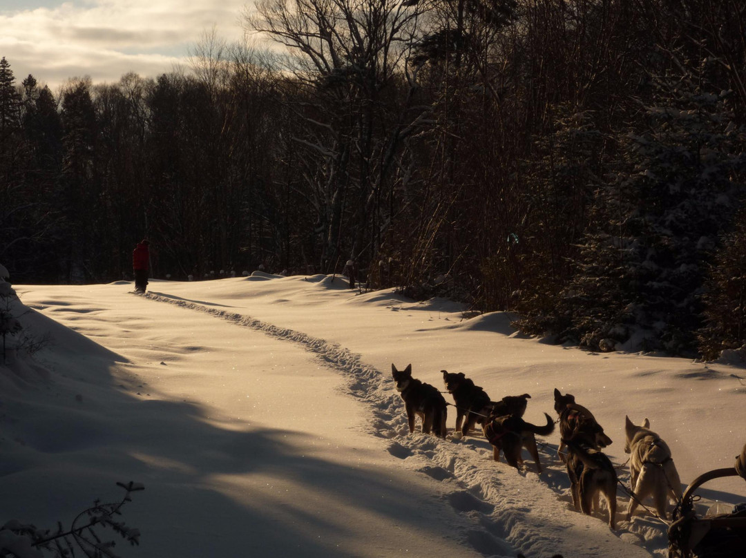 Expéditions Hautes-Laurentides-Riviere-Rouge必去景点