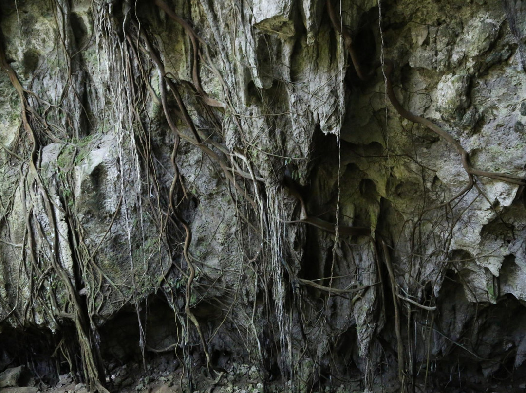 Binsari Cave-Biak必去景点