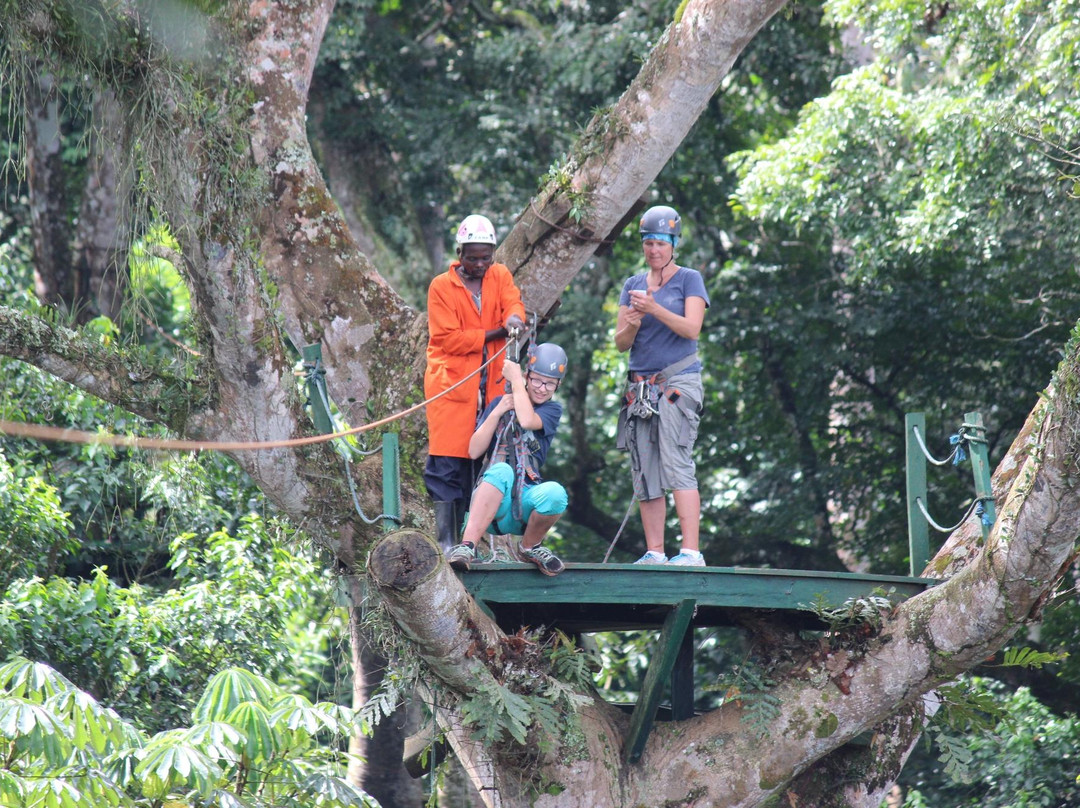 Griffin Falls-金贾必去景点