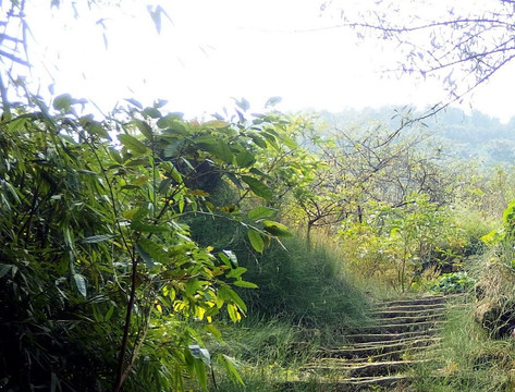 枇杷山公园-重庆市必去景点
