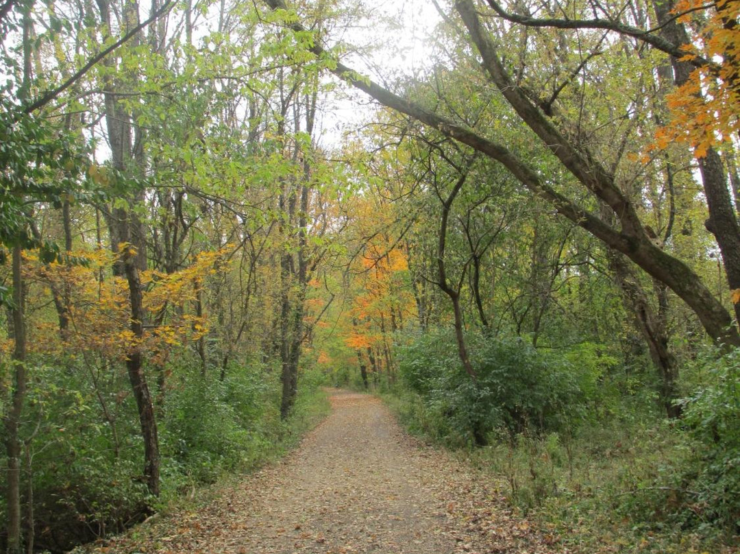 B-Line Trail-布卢明顿必去景点