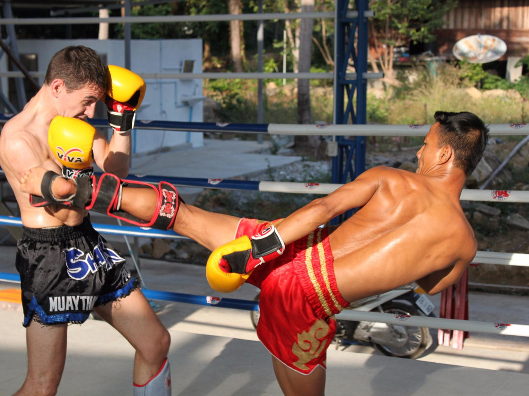 Thai Boxing Camp
