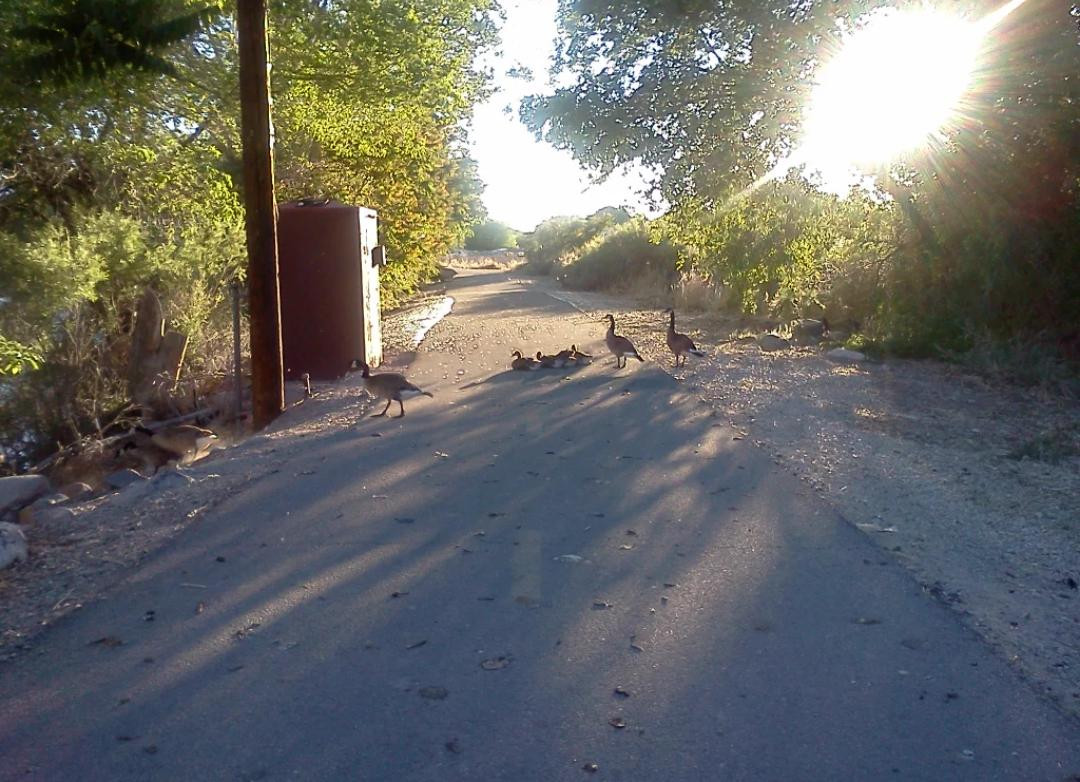 The Rock Park-斯帕克斯必去景点