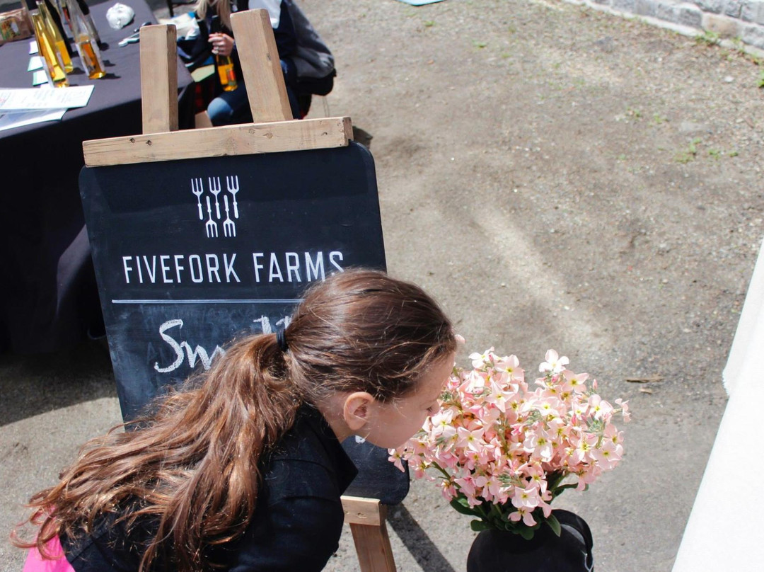 Crompton Collective-伍斯特必去景点