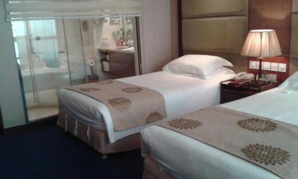 温州新国贸大酒店（鹿城区车站大道店）-客卧