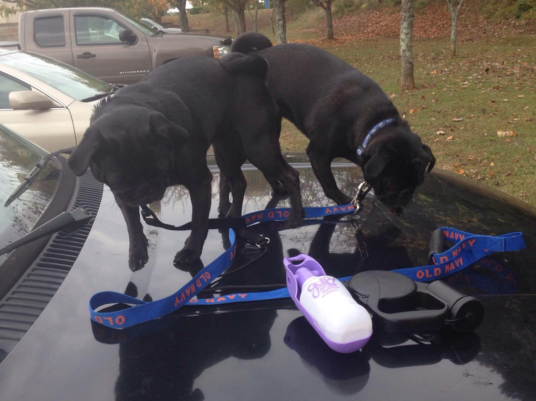 Golf The Villages-群村必去景点