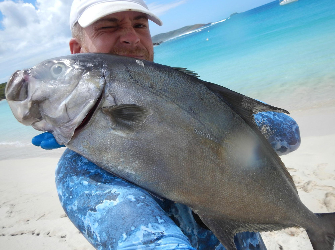 Spearfishing Puerto Rico-法哈多必去景点