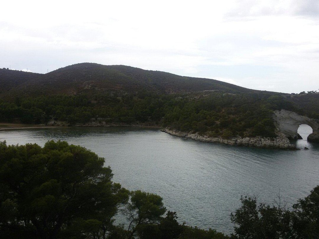 Spiaggia Pugnochiuso-维耶斯泰必去景点