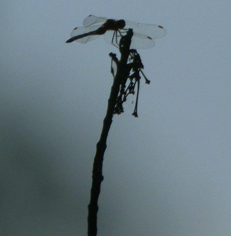 Missisquoi National Wildlife Refuge-Swanton必去景点