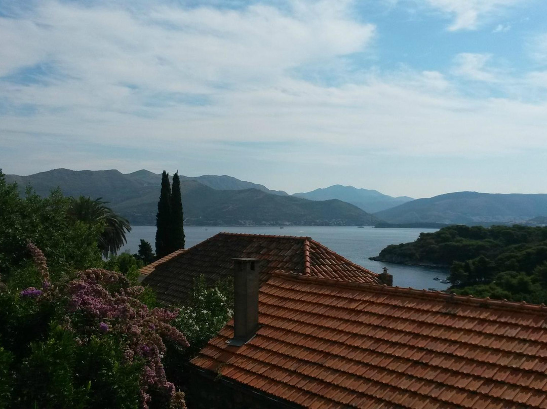 House Oliva