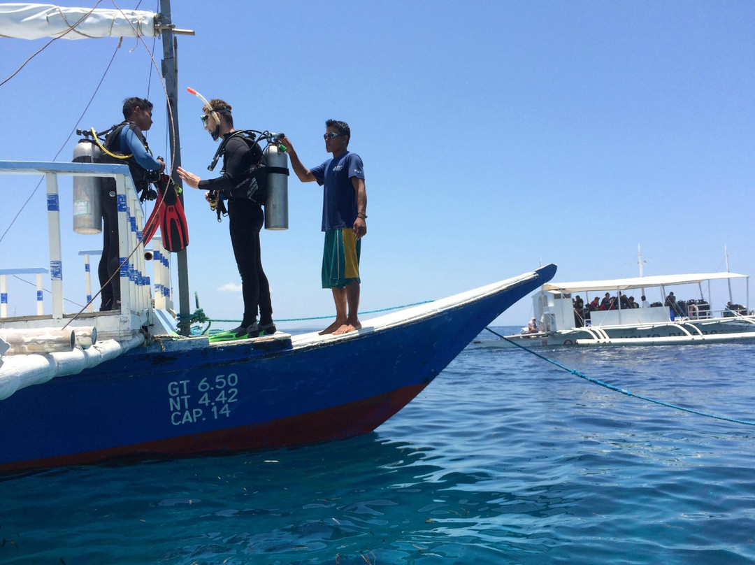 Spindrift Reefs Dive Center - Day Dive-达瑙市必去景点