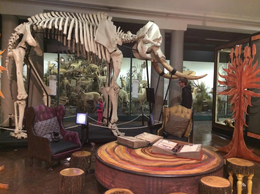 彼得马里茨堡旅游景点-KwaZulu-Natal Museum