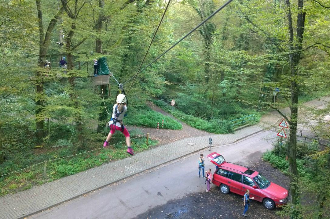 Fun Forest Abenteuerpark Kandel景点图片