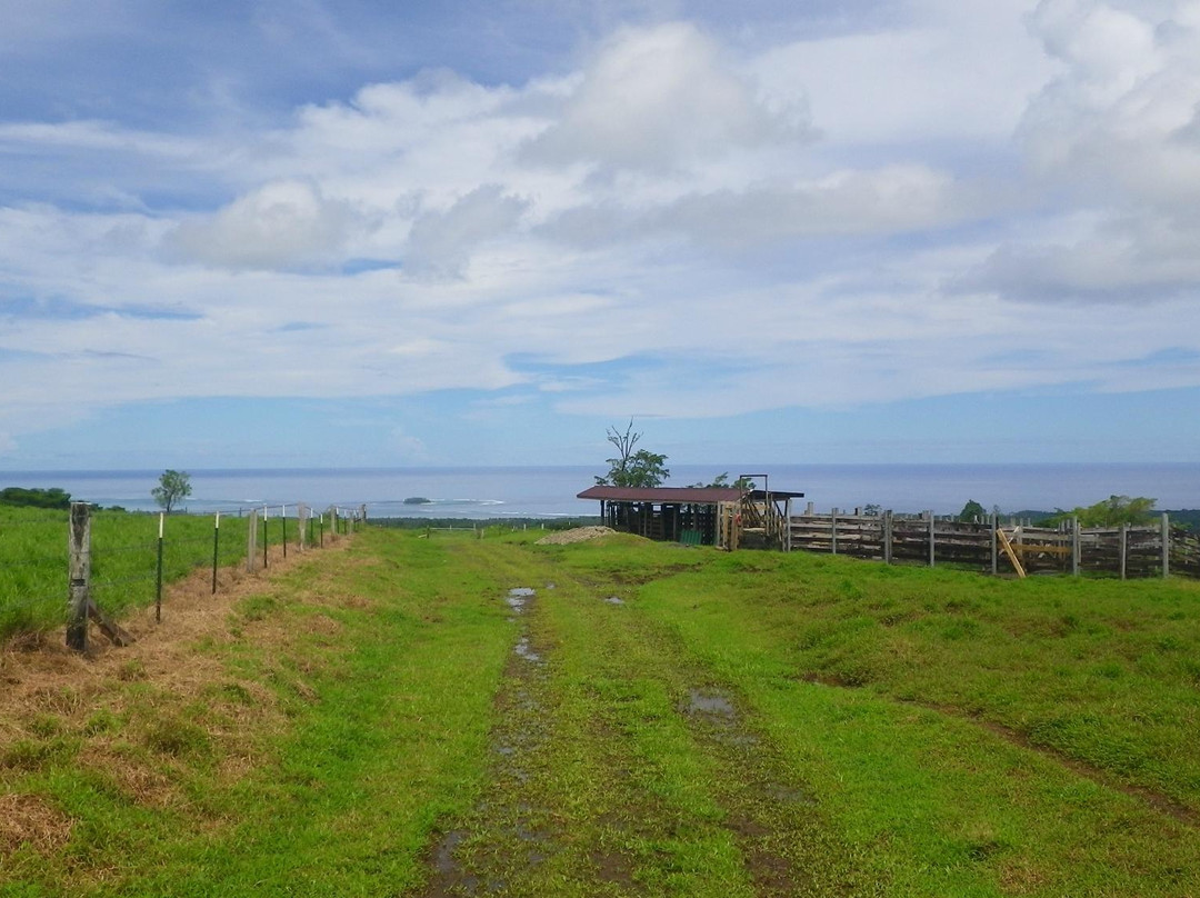 O le Pupu-Pue National Park-Upolu必去景点