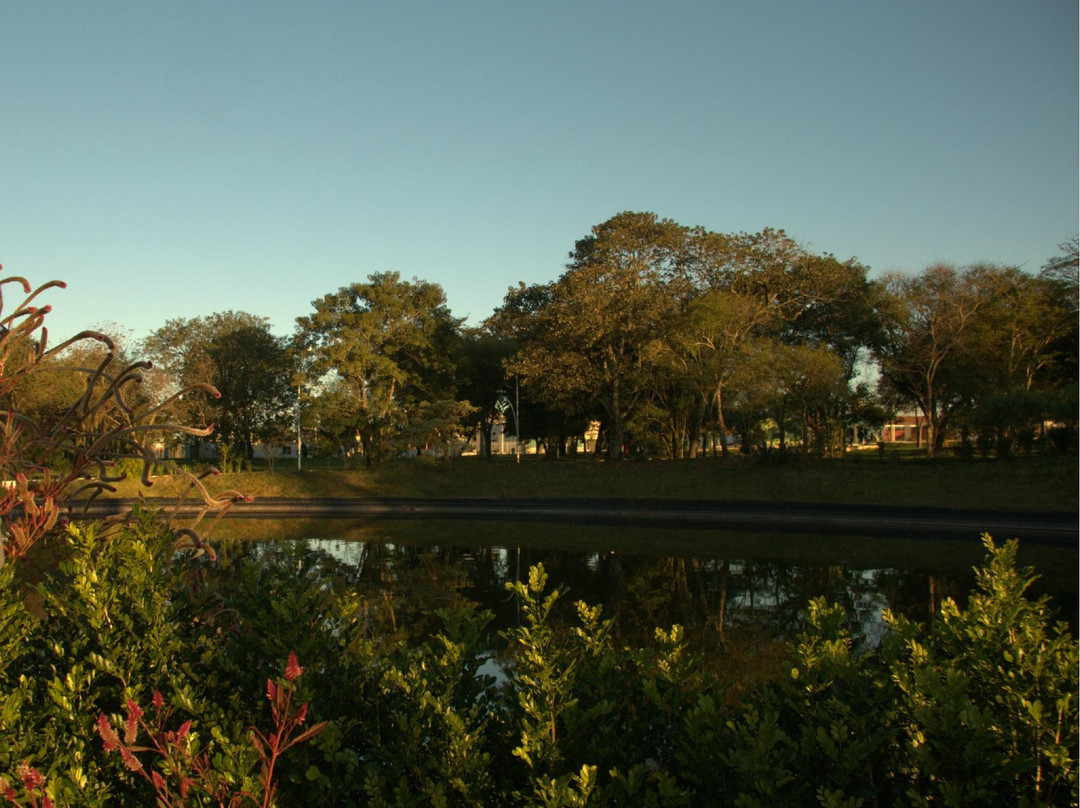 Parque dos Ervais-Ponta Pora必去景点