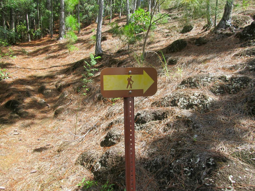 Kuaokalā Trail-怀厄奈必去景点