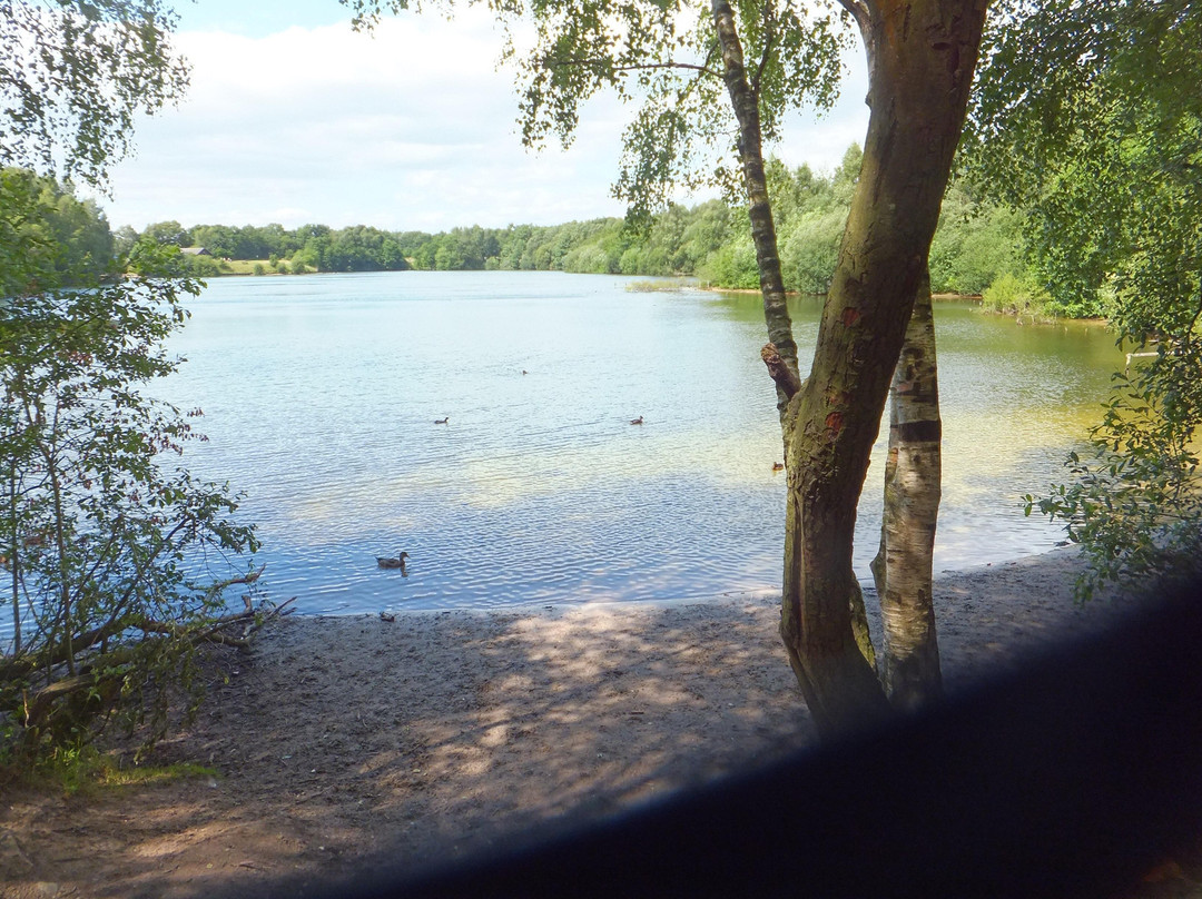 Brereton Heath Local Nature Reserve-Sandbach必去景点
