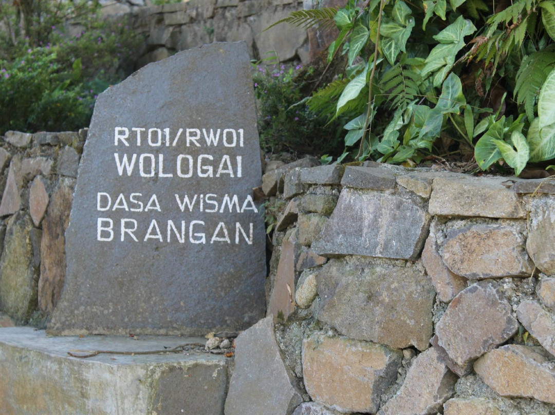 Wologai Traditional Village-弗洛勒斯岛必去景点