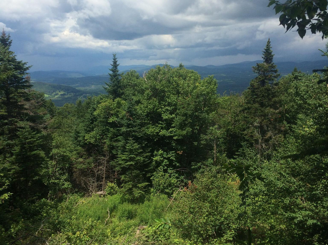 Healdville Trail-Ludlow必去景点