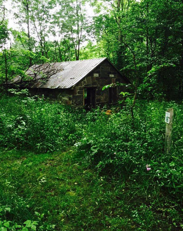 Bass Lake Provincial Park景点图片