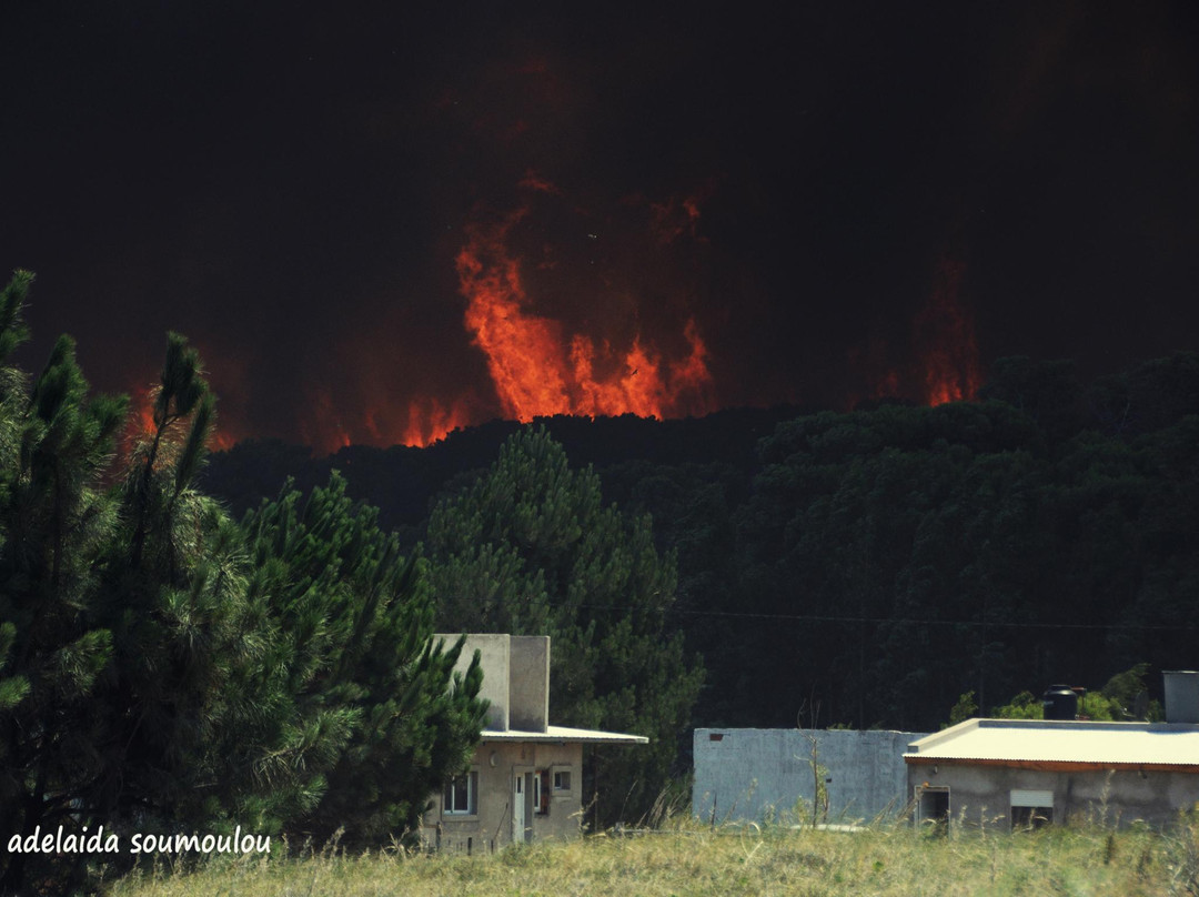 Reserva Forestal Ingeniero Paolucci-Claromeco必去景点