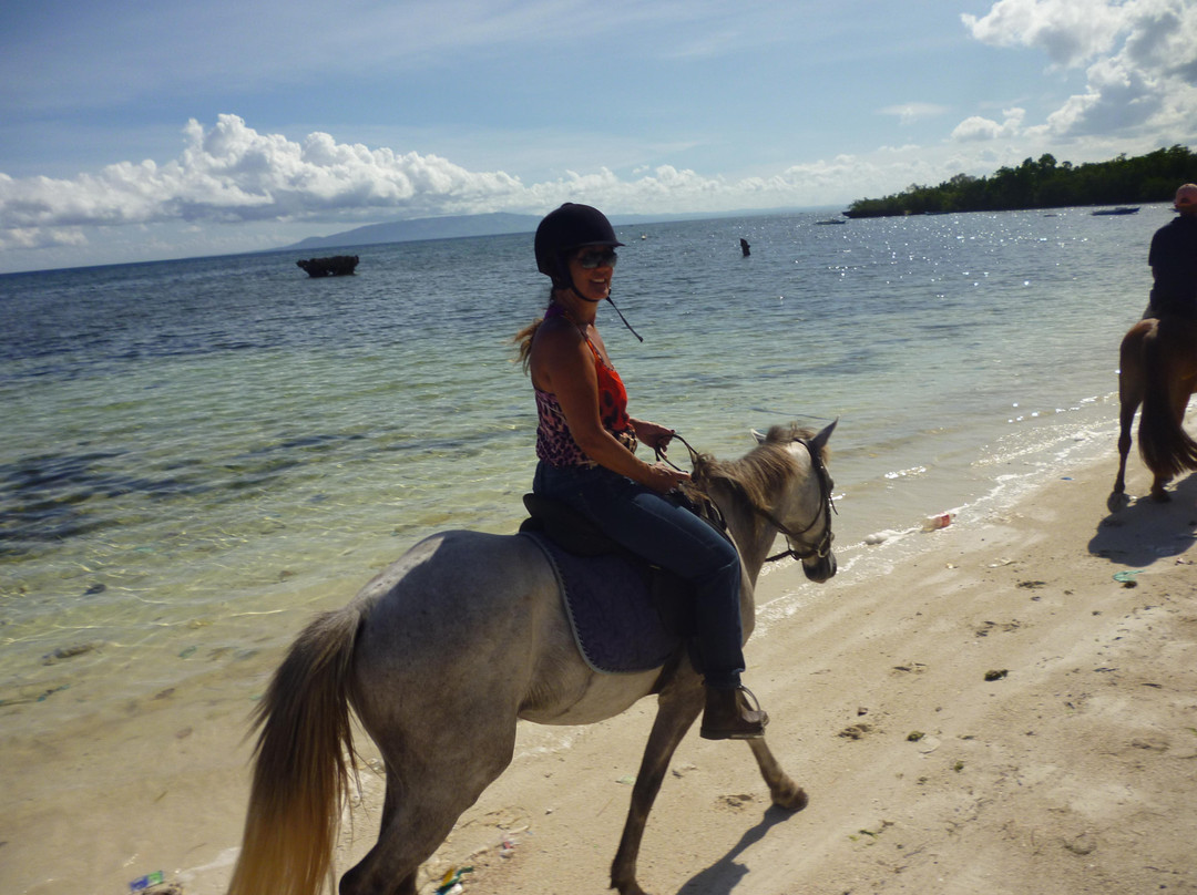 Tarsier Botanika-邦劳岛必去景点