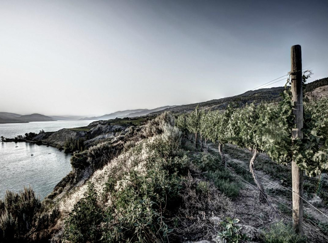 Lock & Worth Winery-彭蒂克顿必去景点