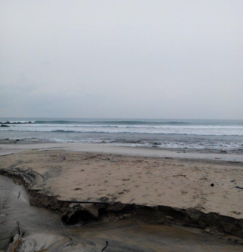 Alas Purwo National Park-巴纽旺宣必去景点