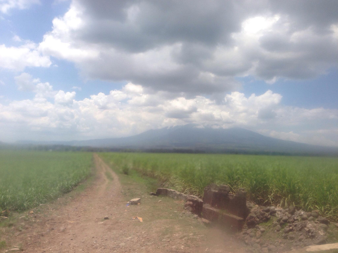 Canlaon Volcano景点图片