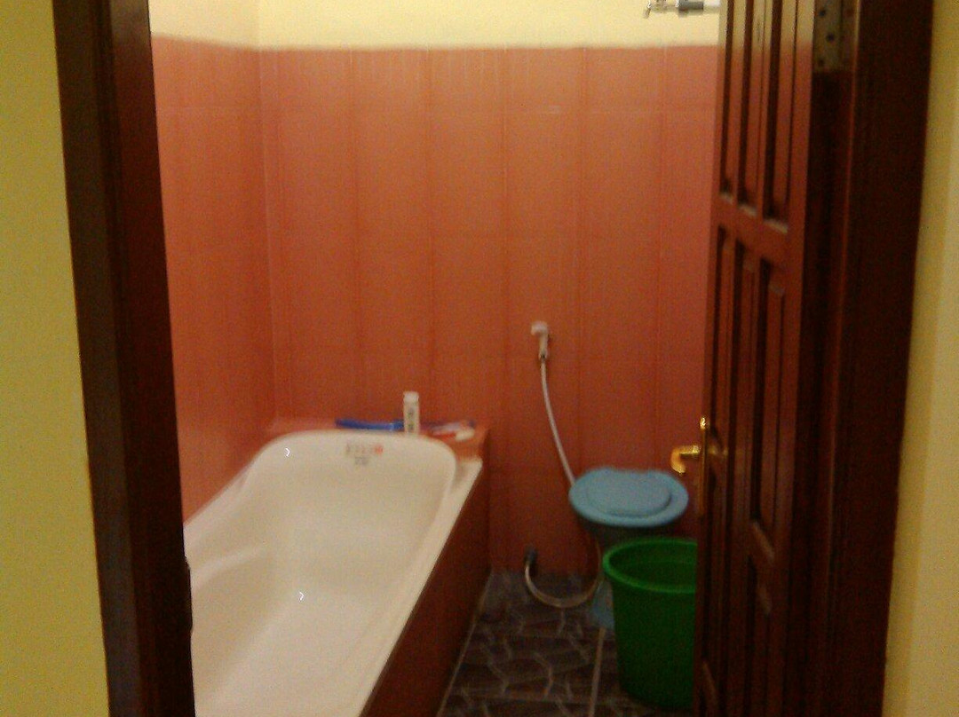 Ijen Tours Indo Guest House主图