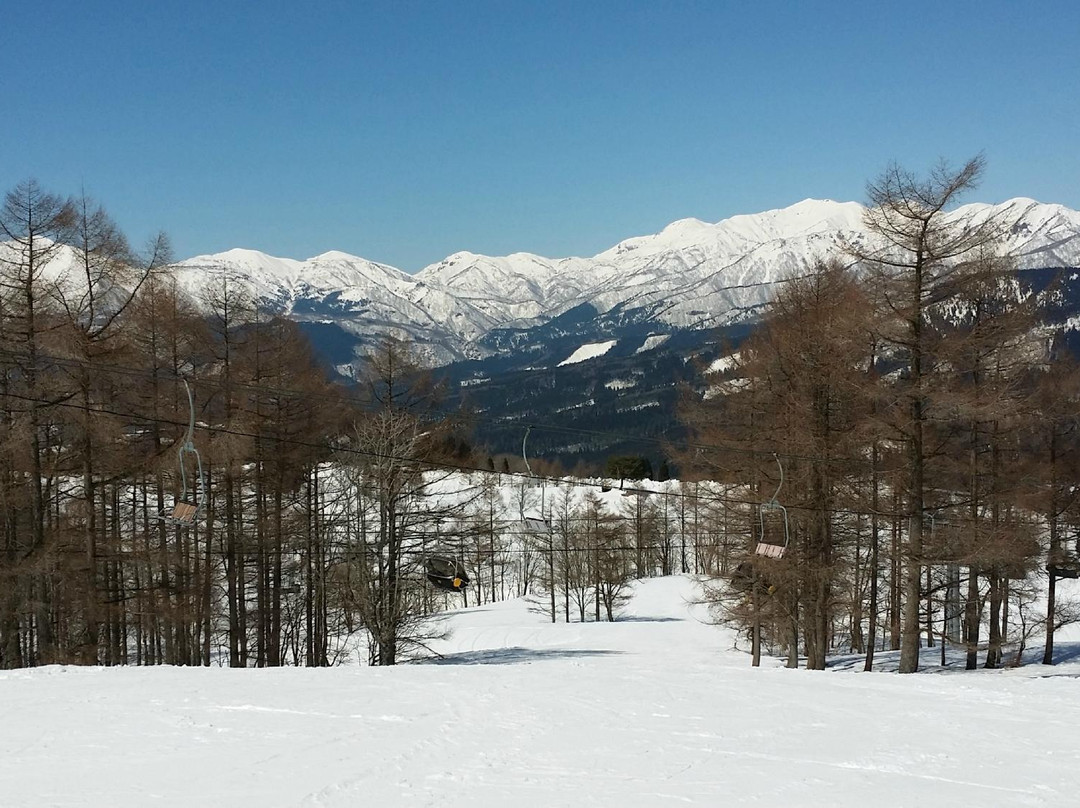 Snow Wave Park Shiratori Kogen-郡上市必去景点