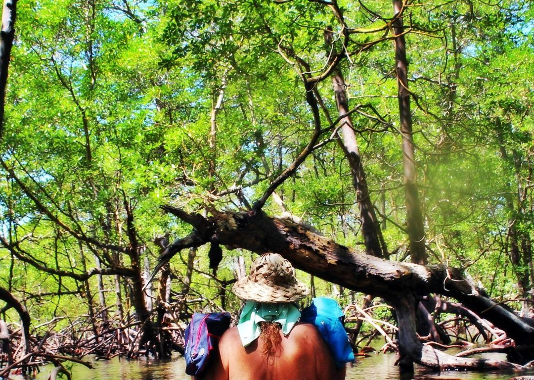 Mangue Riders-莫罗圣保罗必去景点