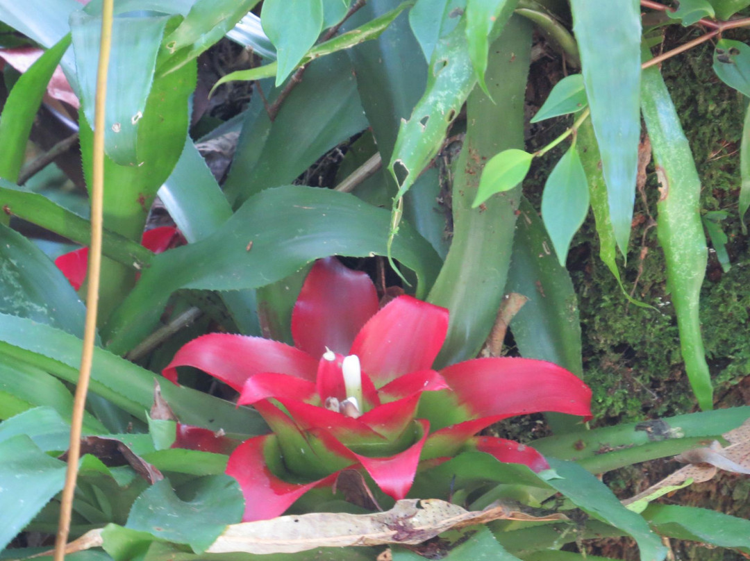 Ilha Adventure-伊利亚贝拉必去景点