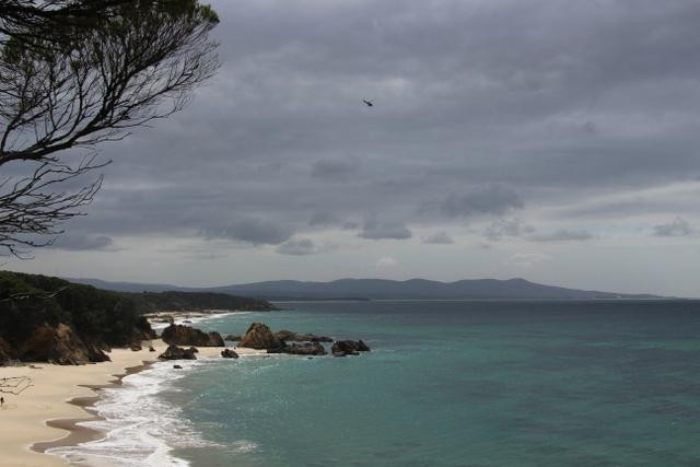 Mallacoota Coastal Walks-Mallacoota必去景点
