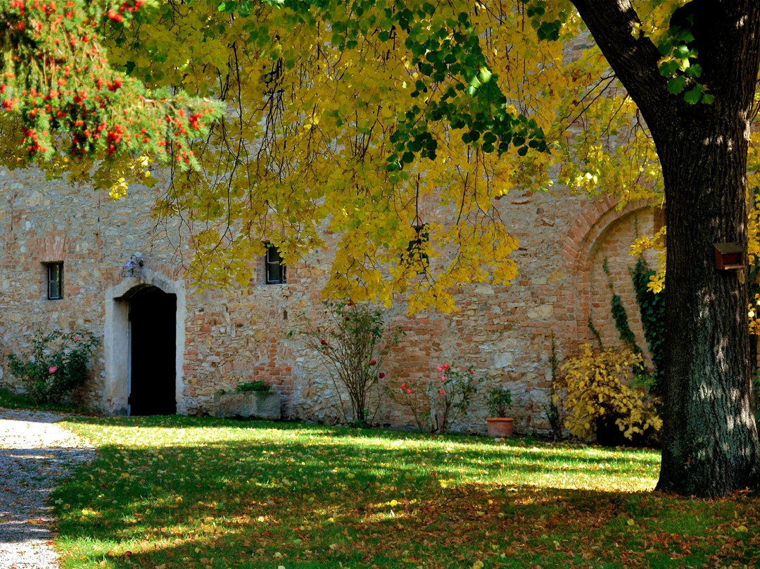 Bio-Weingut Geyerhof-Furth bei Goettweig必去景点